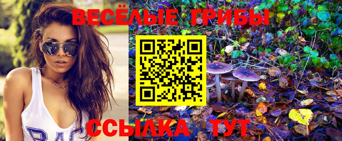 Галлюциногенные грибы GOLDEN TEACHER  Вход с VPN  Галлюциногенные грибы MAGIC MUSHROOMS  Качканар 